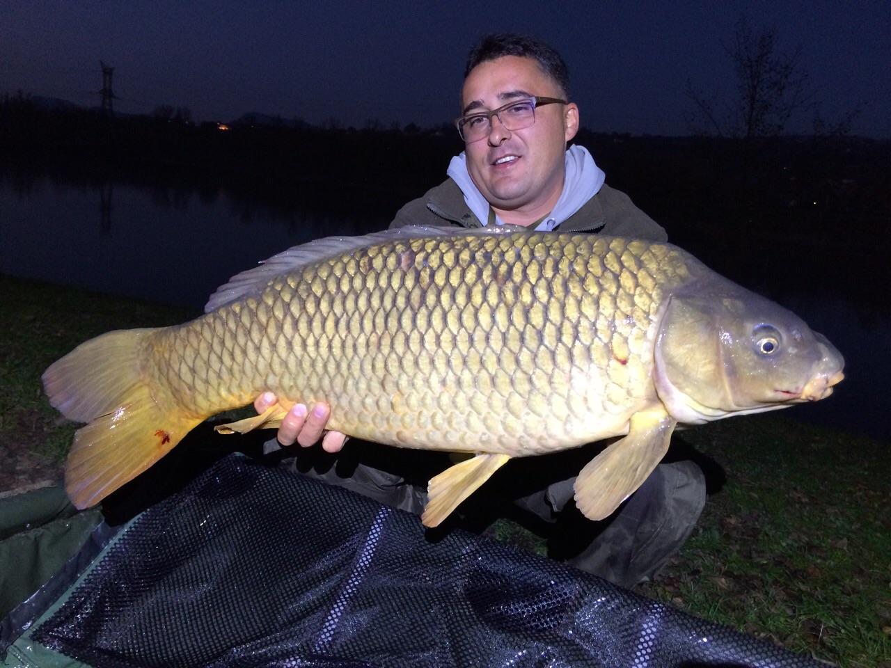 regiune Rhône-Alpes 1 noiembrie 2014 - img-20141102-wa0016.jpg